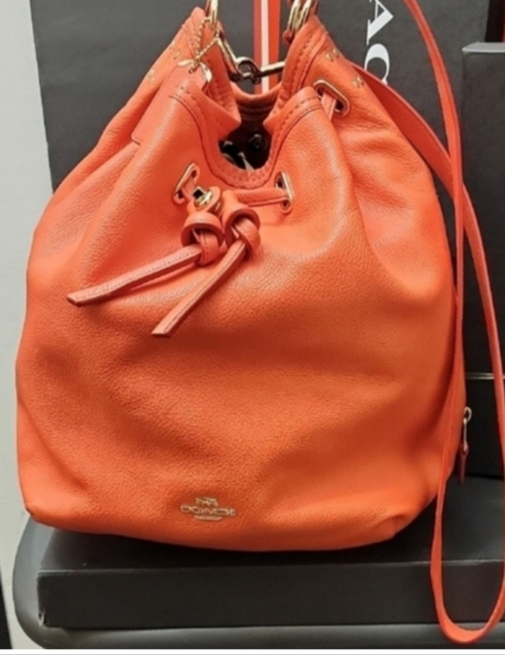 Coach Leather Turnlock Tie Bucket Bag No. 34988